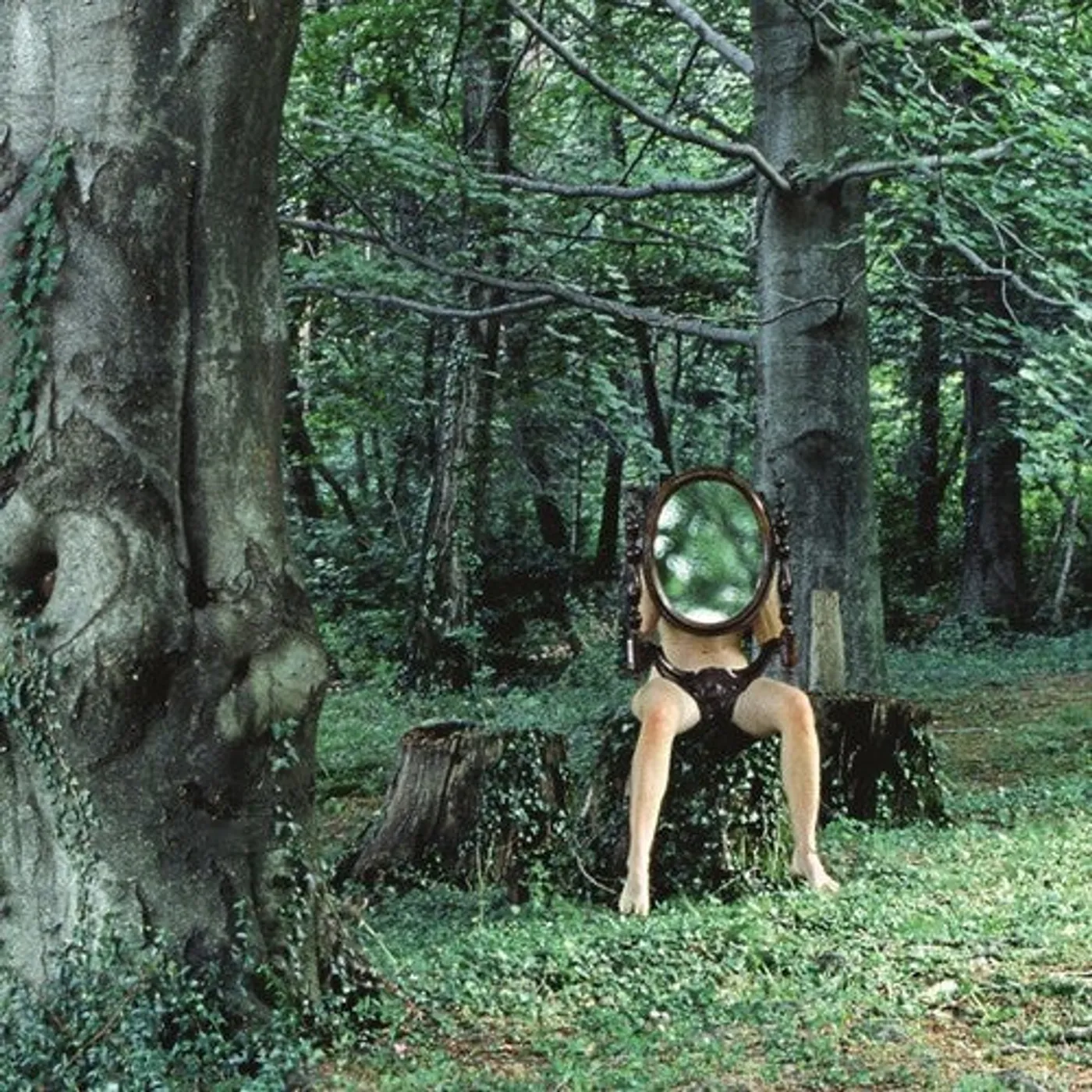 Kammerflimmer Kollektief LP Vinyl - Schemen