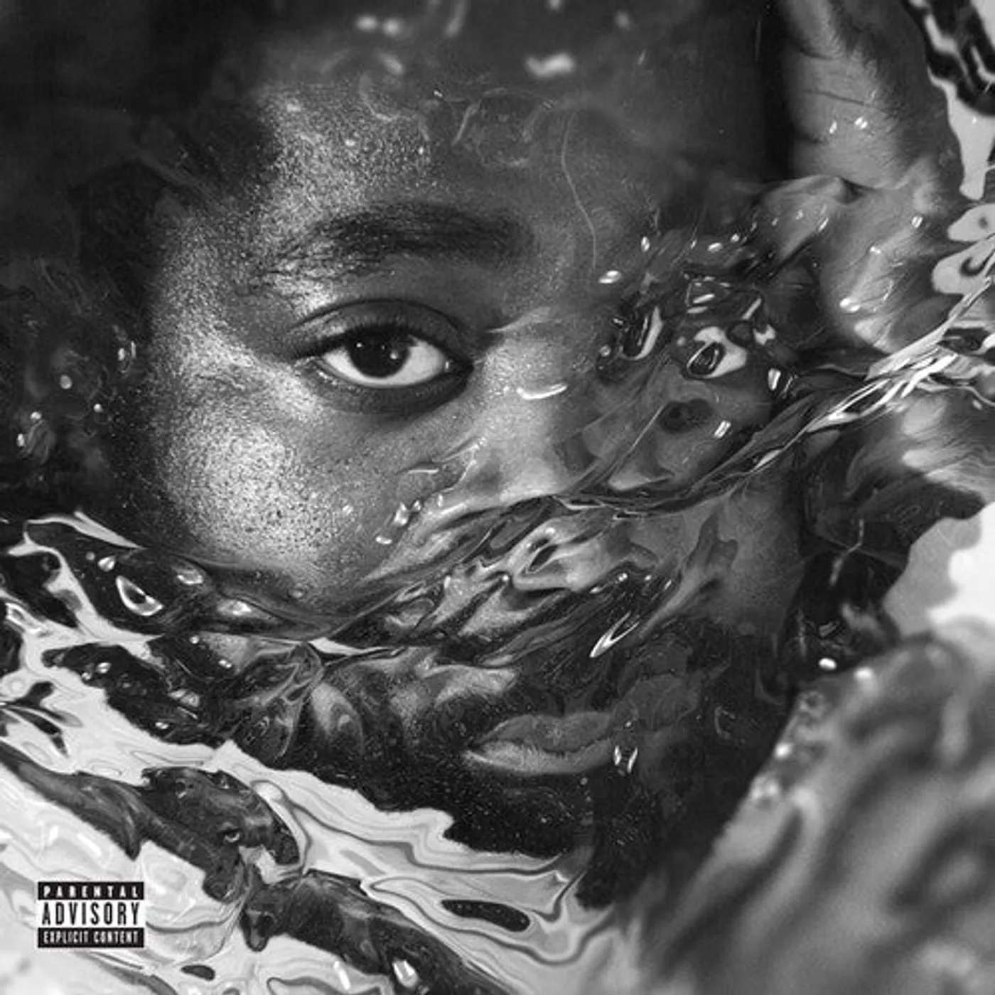 R.Lum.R LP Vinyl - Surfacing