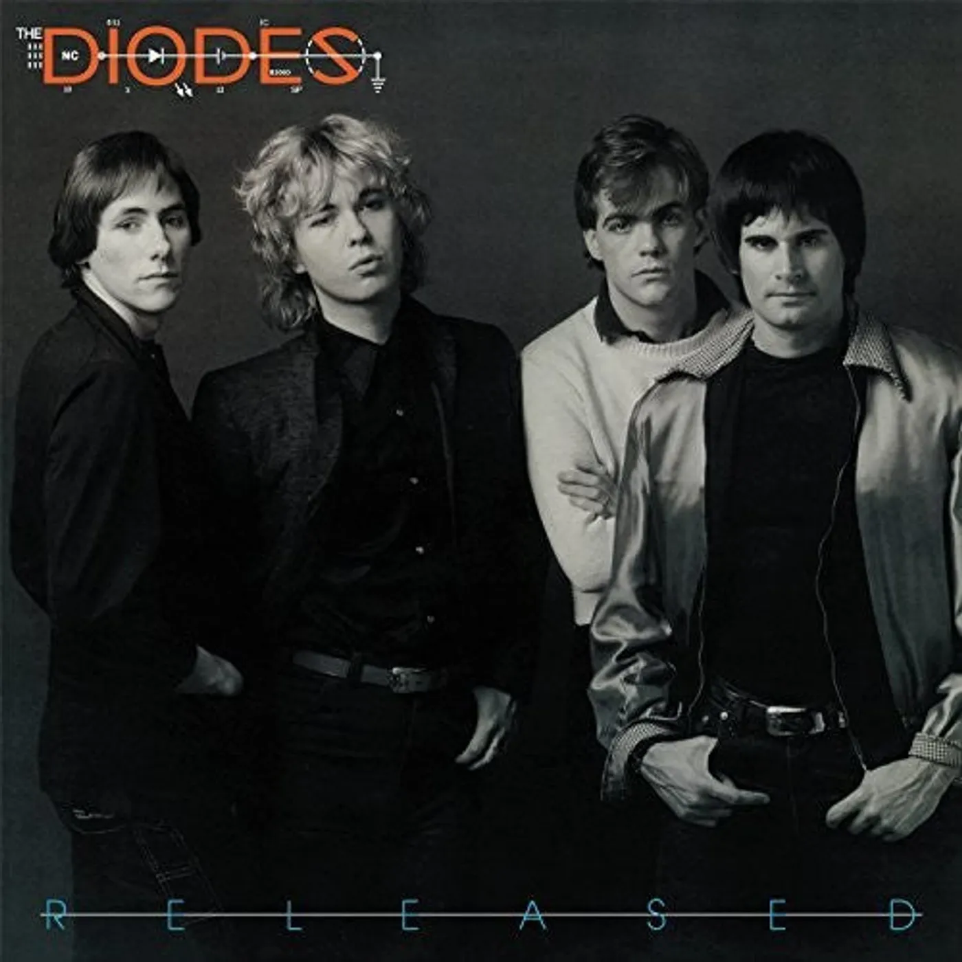 The Diodes LP Vinyl - Released