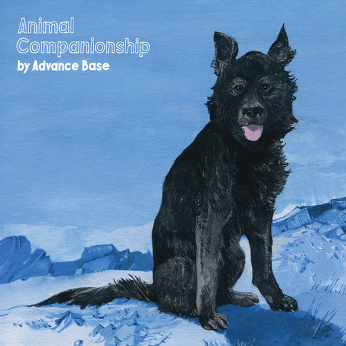 Advance Base LP Vinyl - Animal Companionship