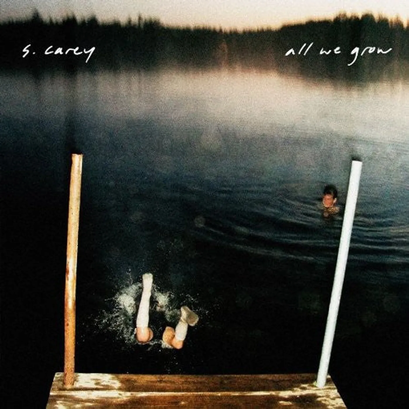 S. Carey LP Vinyl - All We Grow (Mpdl)