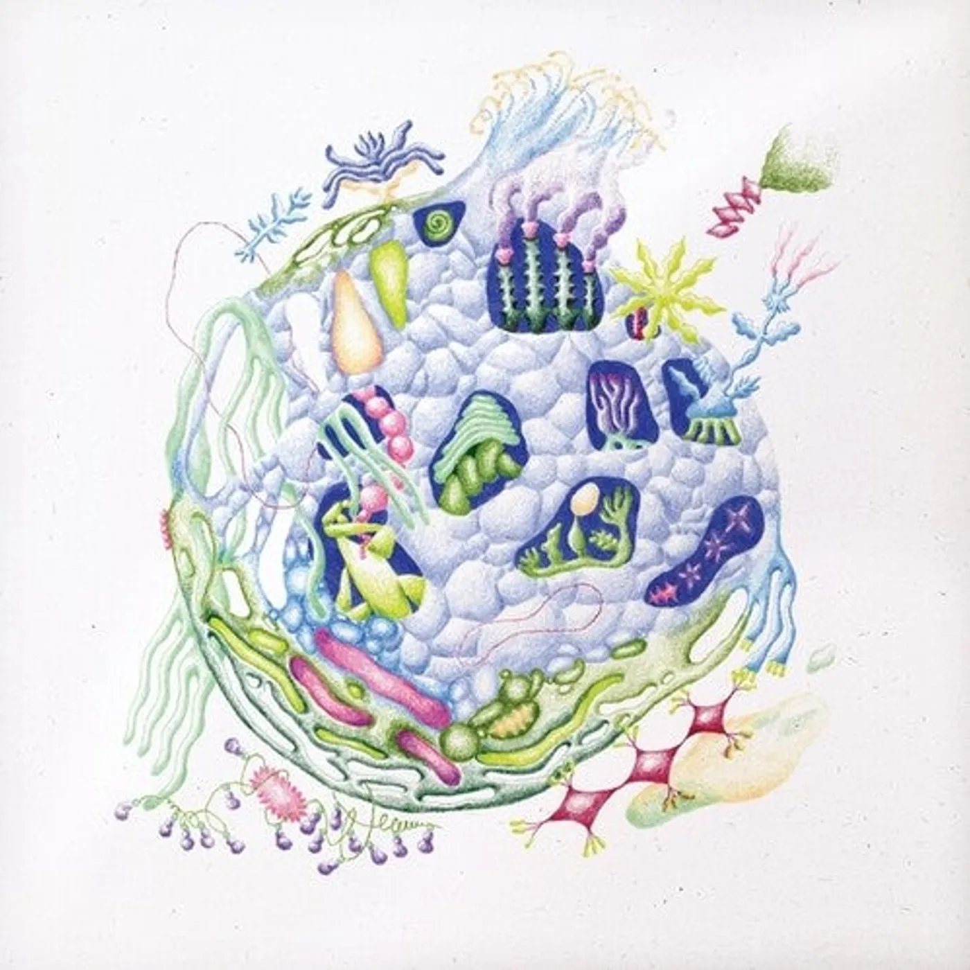 David Edren LP Vinyl - Binnenin