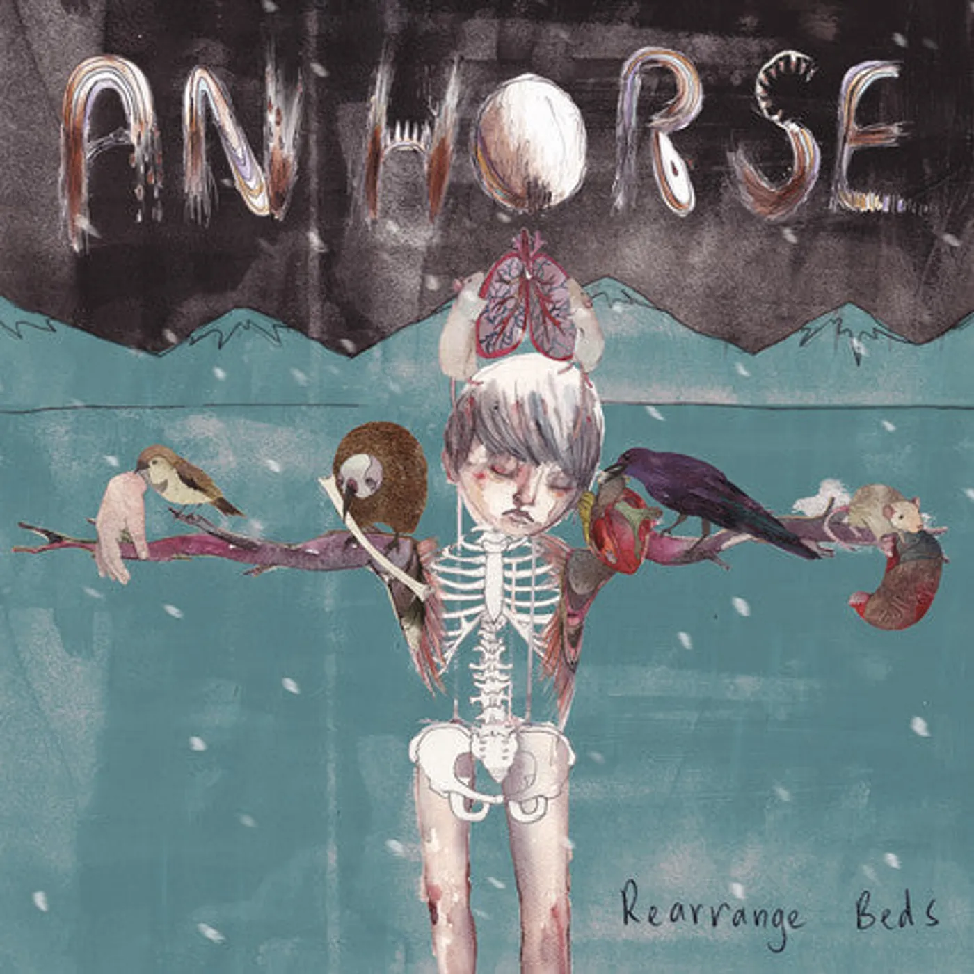 An Horse LP Vinyl - Rearrange Beds
