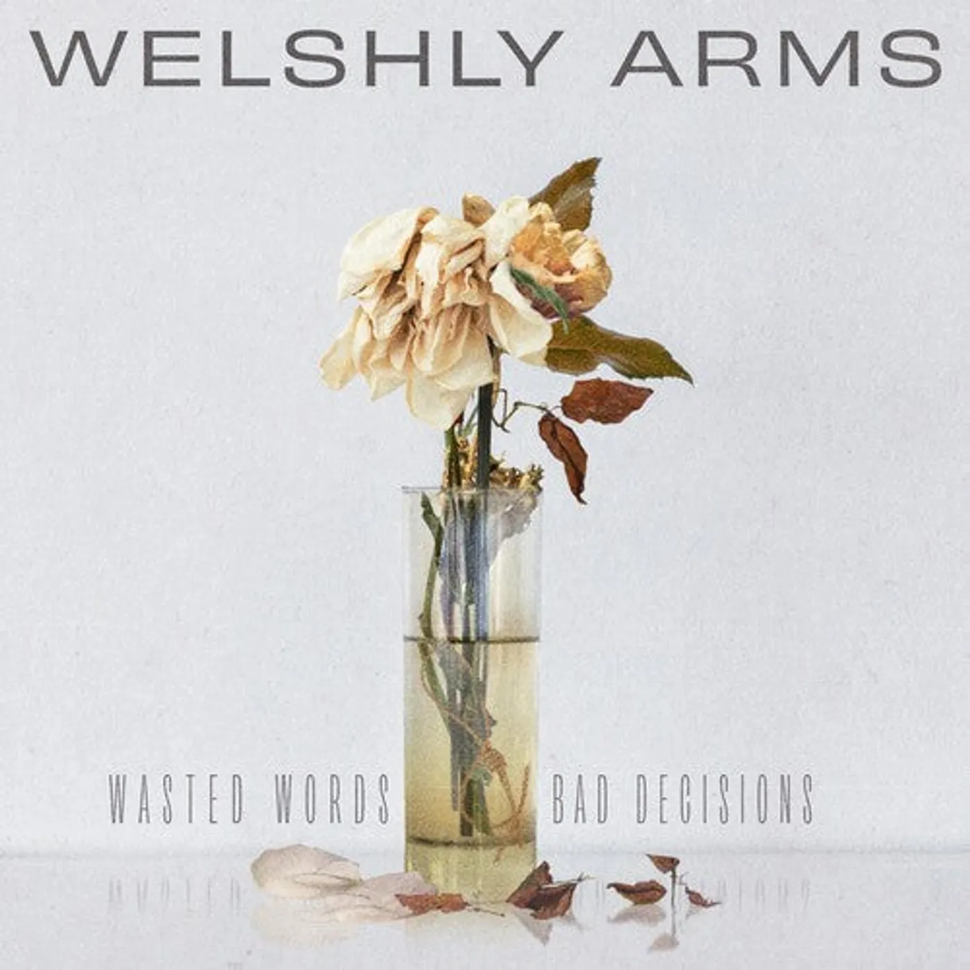 Welshly Arms LP Vinyl - Wasted Words & Bad Decisions