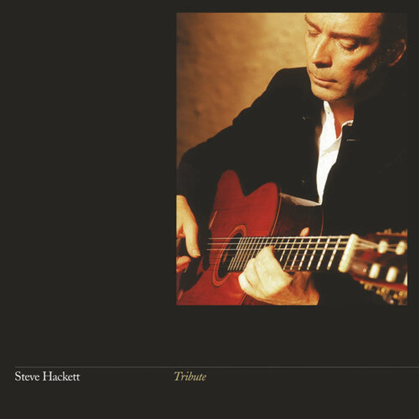 Steve Hackett LP Vinyl - Tribute (Gate Fold) (Reis)