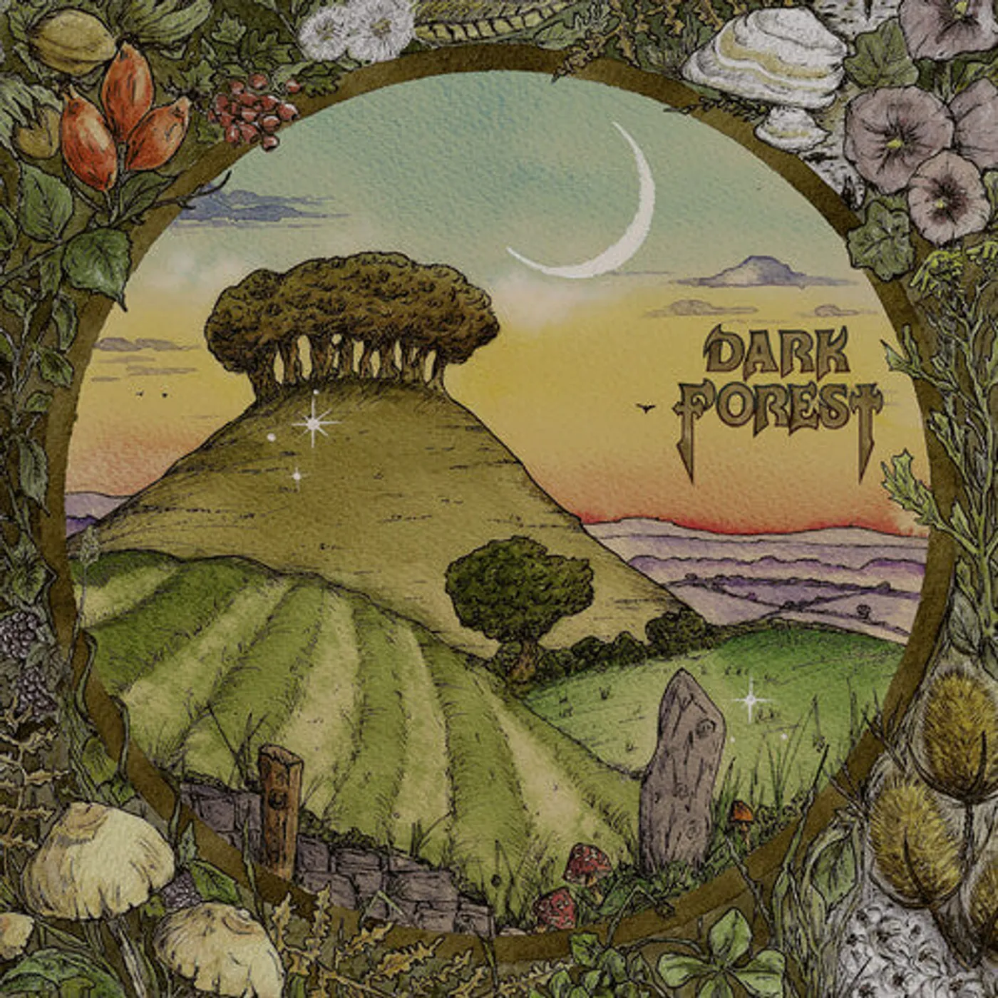 Dark Forest LP Vinyl - Ridge & Furrow