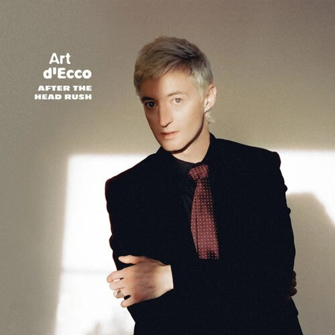 Art D'Ecco LP Vinyl - After The Head Rush