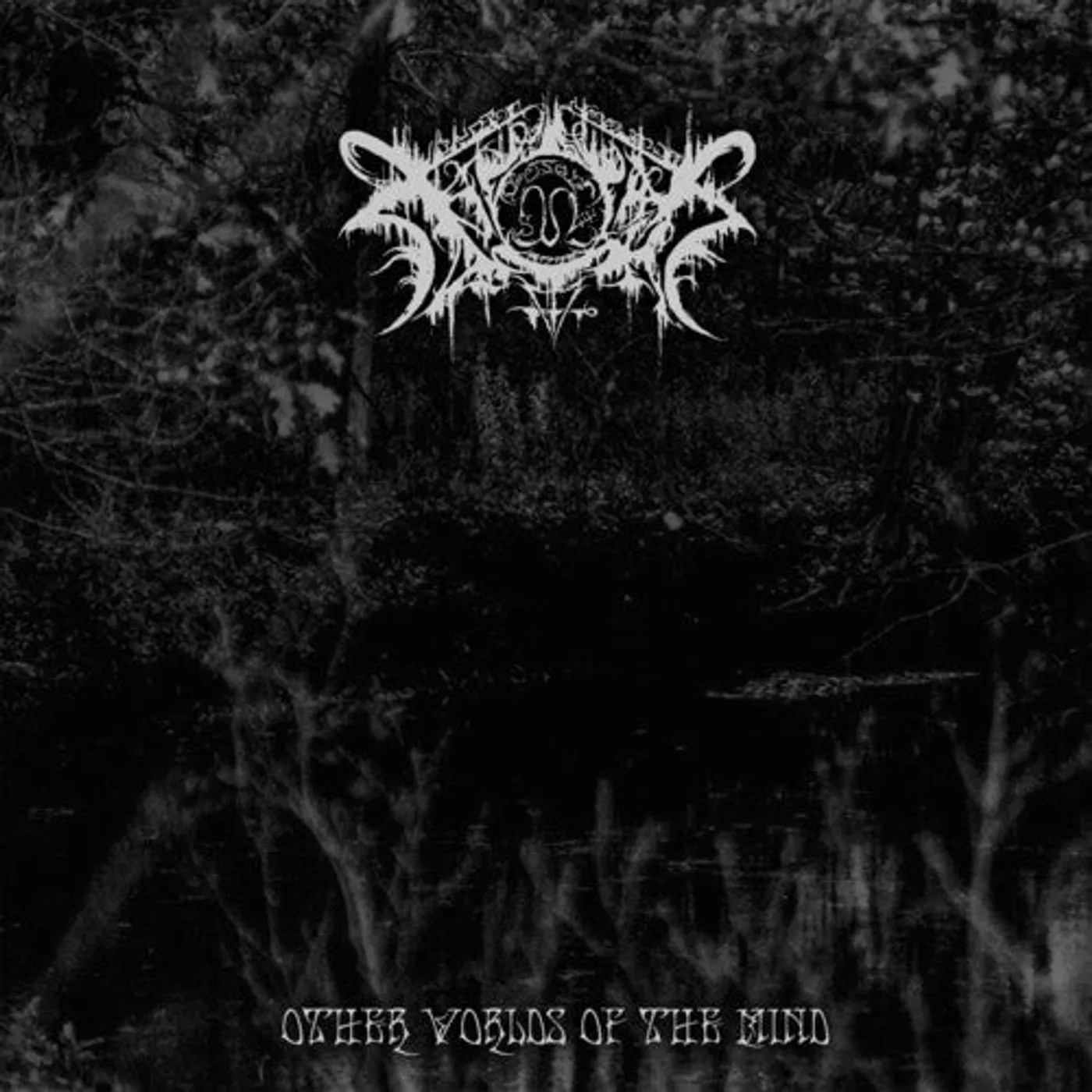 Xasthur LP Vinyl - Other Worlds Of The Mind (Gate Fold)