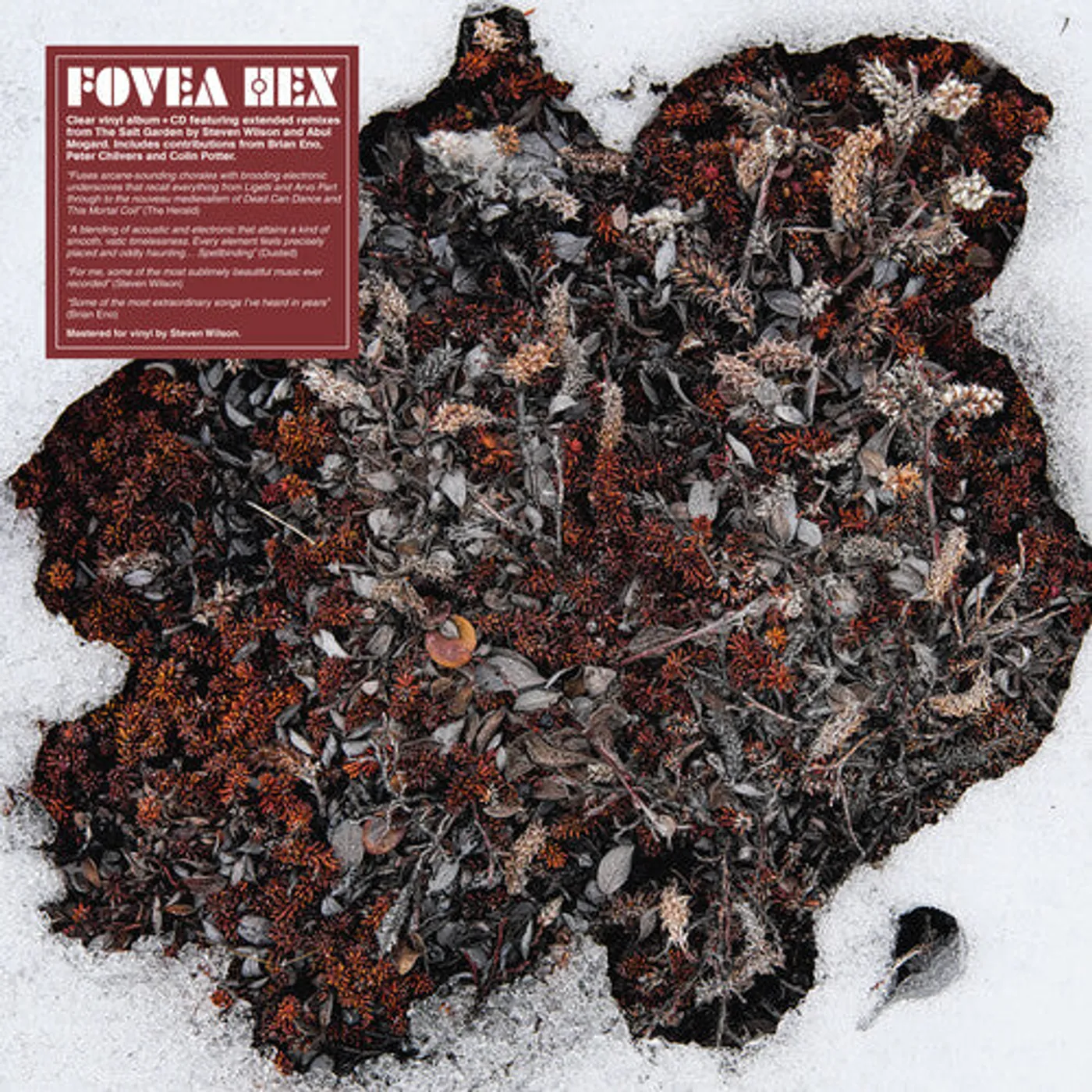 Fovea Hex LP Vinyl - Salt Garden - Clear (W/Cd) (Cvnl)