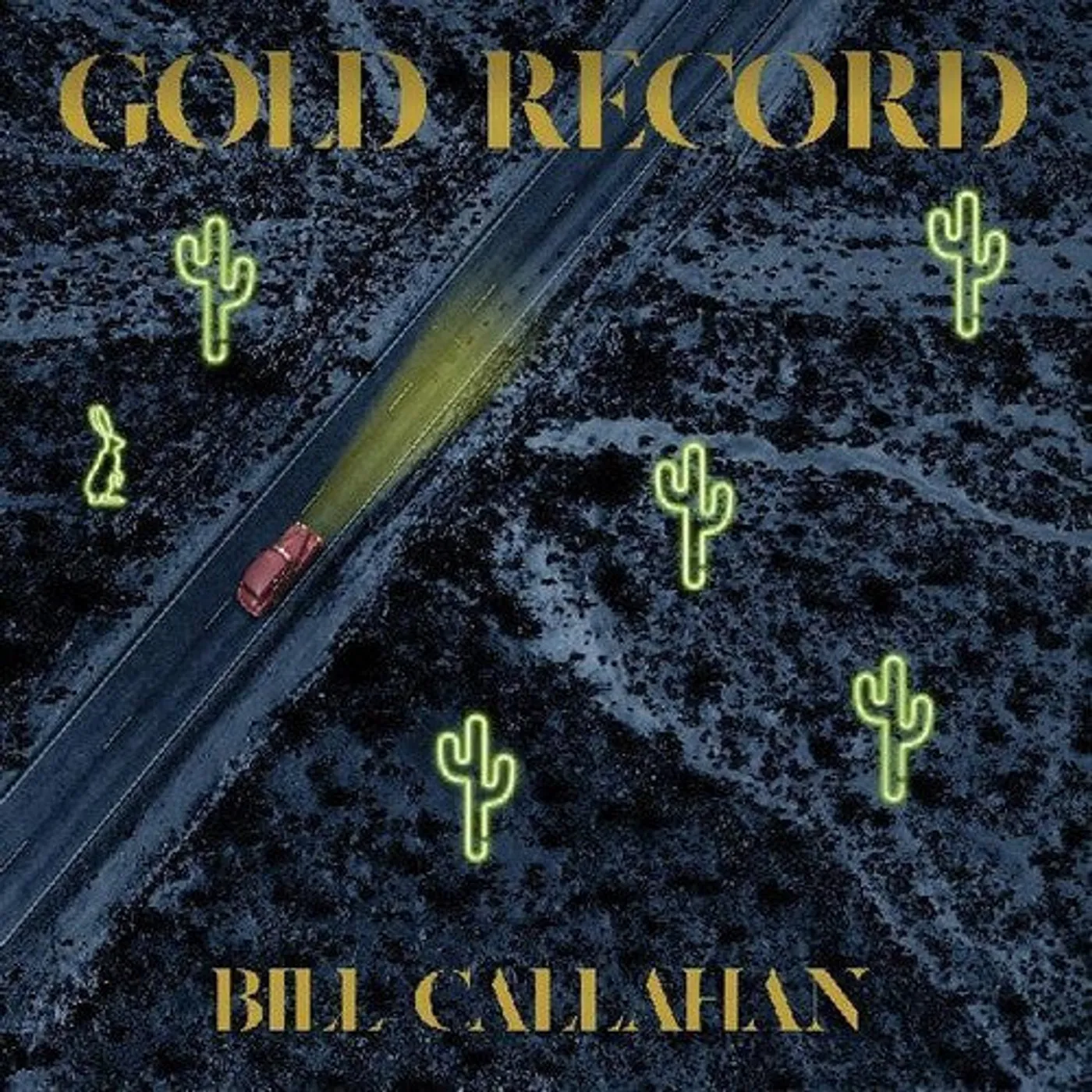 Bill Callahan LP Vinyl - Gold Record