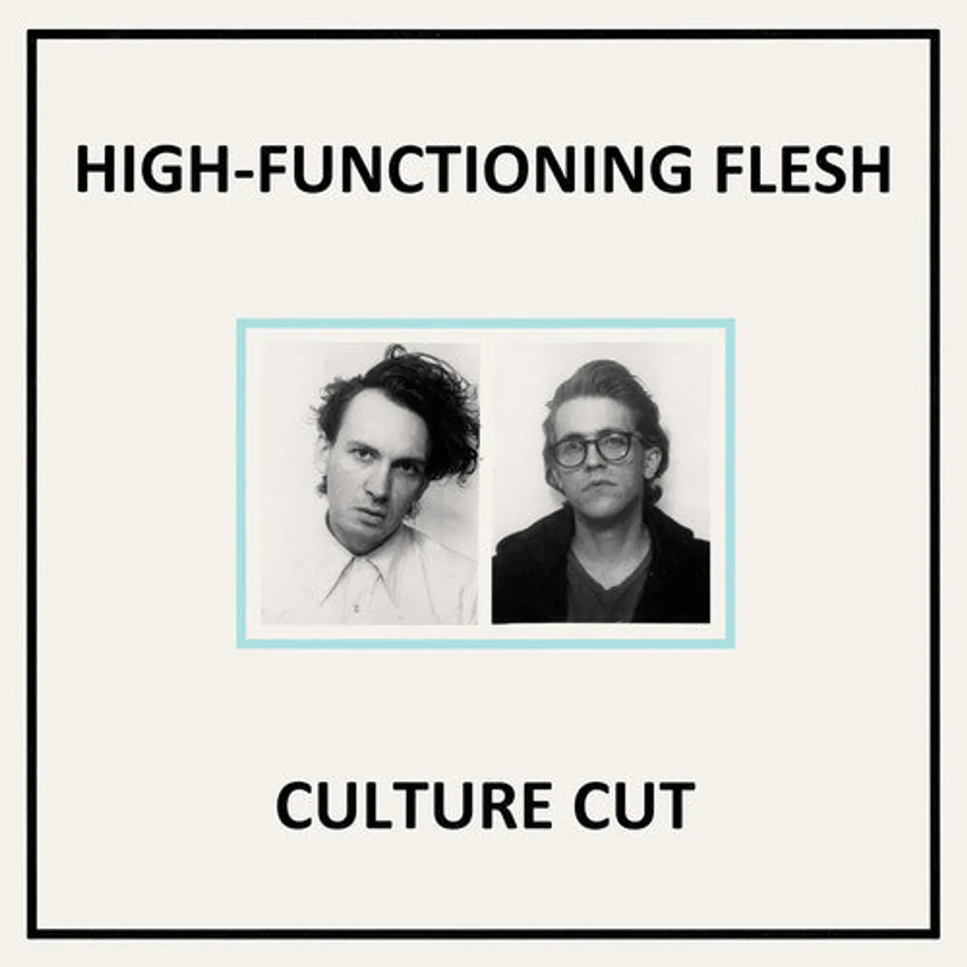 High-Functioning Flesh LP Vinyl - Culture Cut