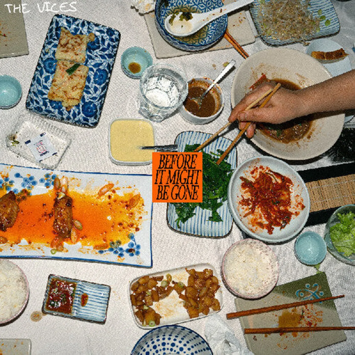 Vices LP Vinyl - Before It Might Be Gone (Coloured Vinyl) (Org) (Eco)