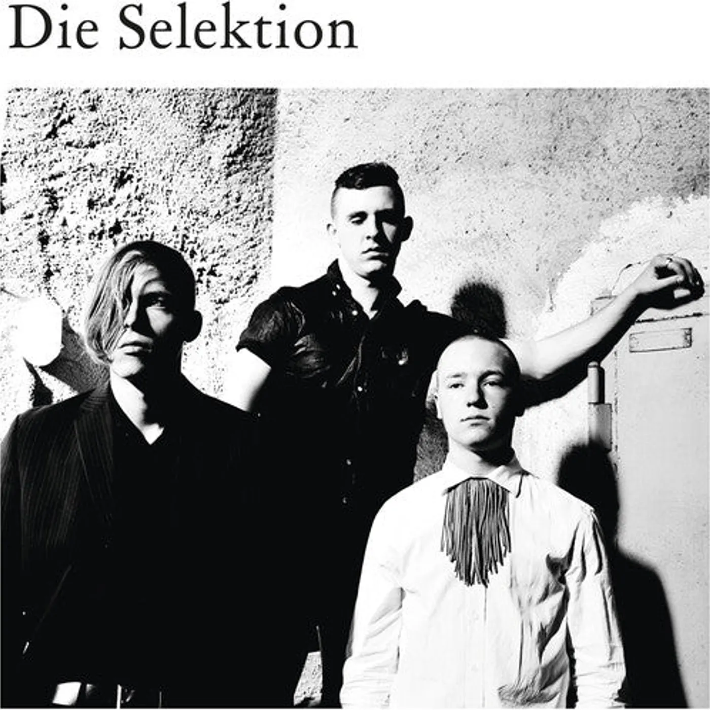 Die Selektion LP Vinyl - Die Selektion
