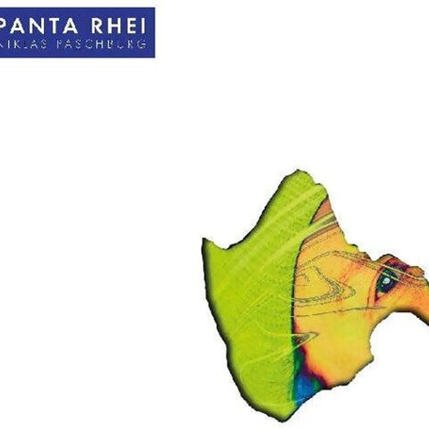 Niklas Paschburg LP Vinyl - Panta Rhei
