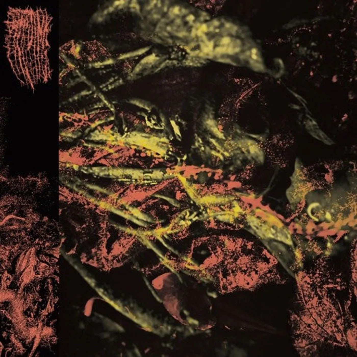 Hissing LP Vinyl - Permanent Destitution