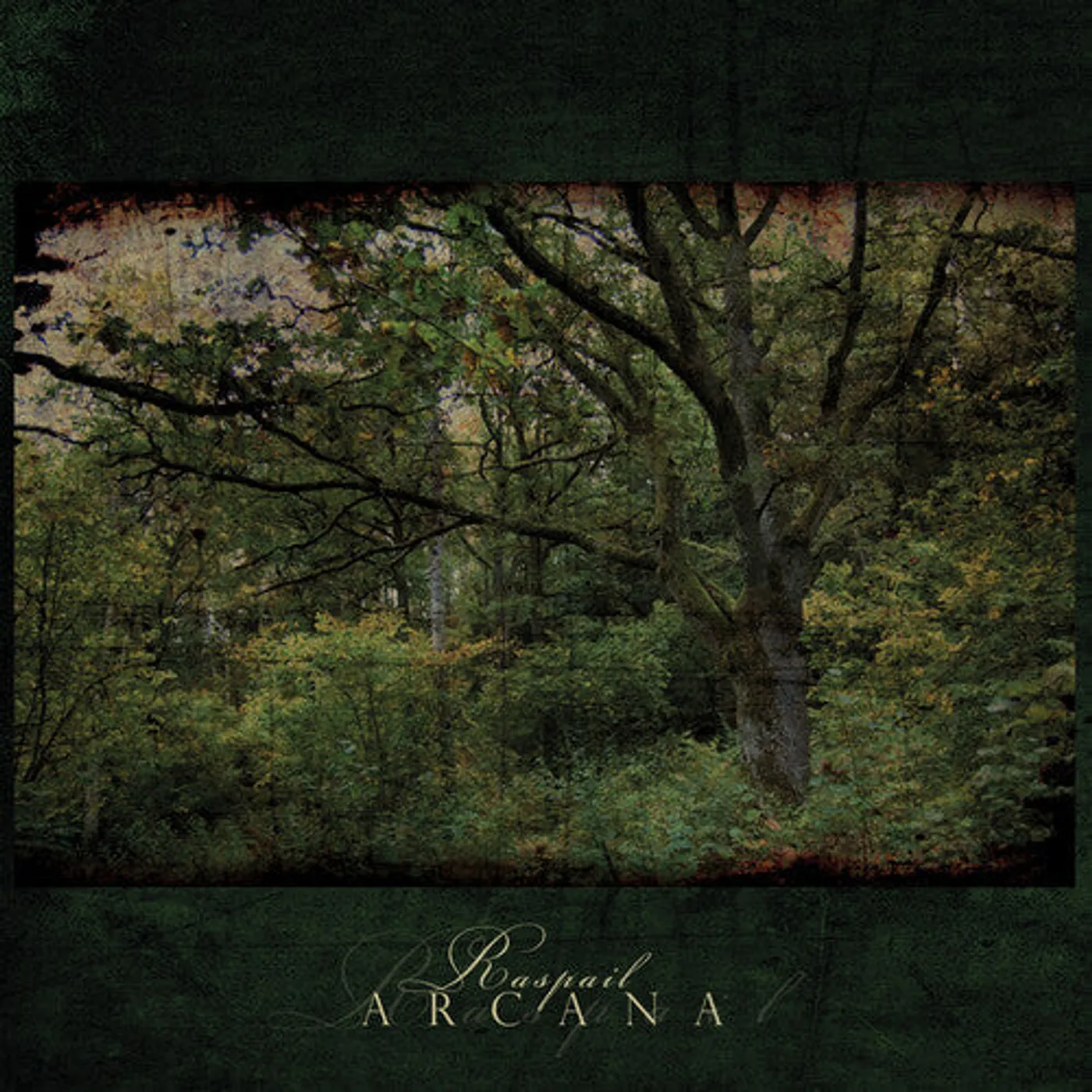 Arcana LP Vinyl - Raspail
