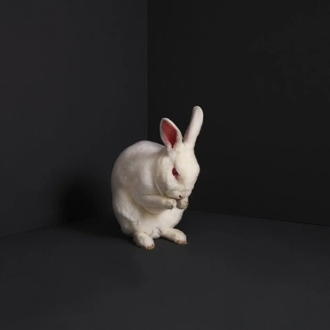 Brume LP Vinyl - Rabbits