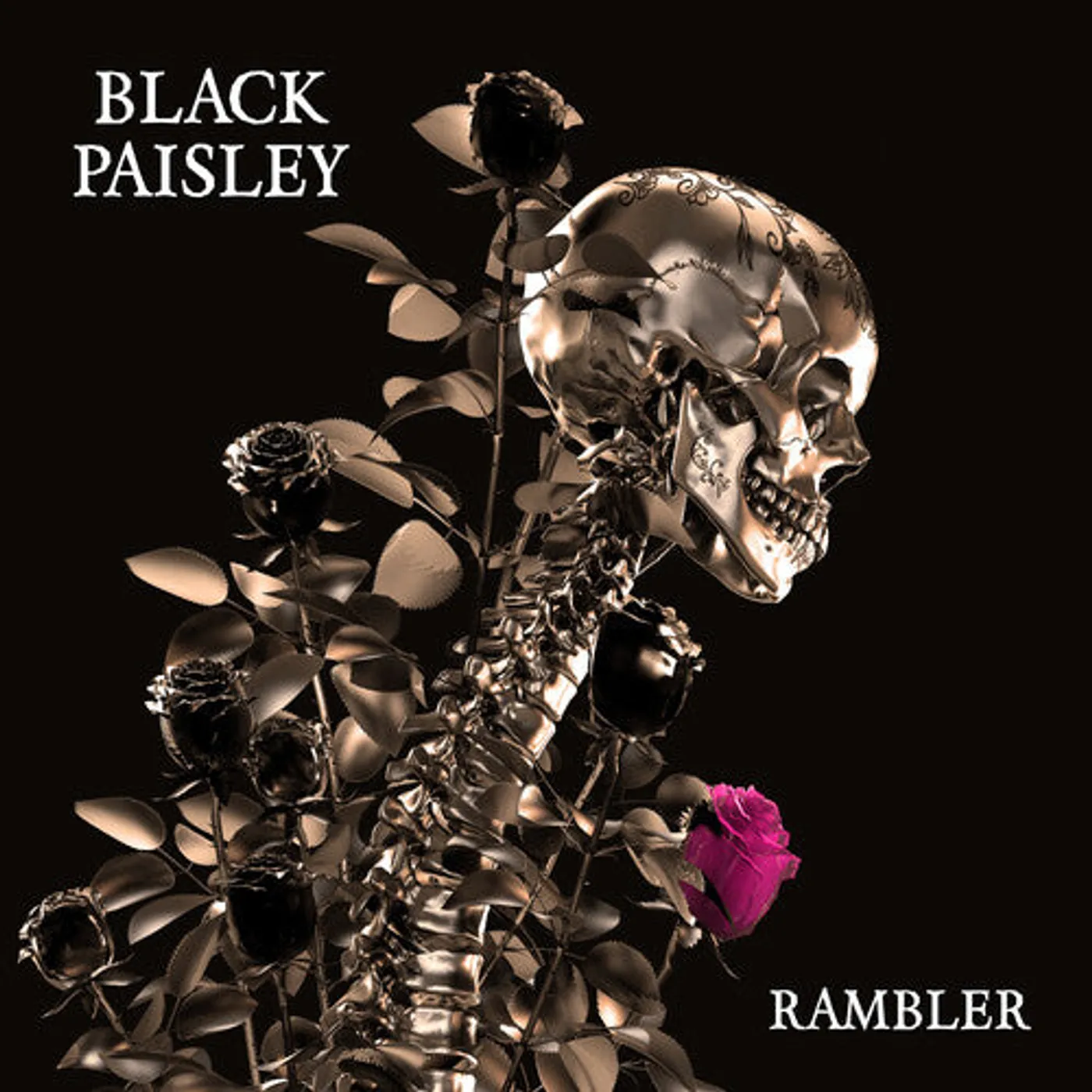 Black Paisley LP Vinyl - Rambler