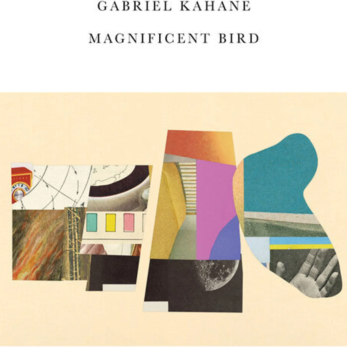 Gabriel Kahane LP Vinyl - Magnificent Bird