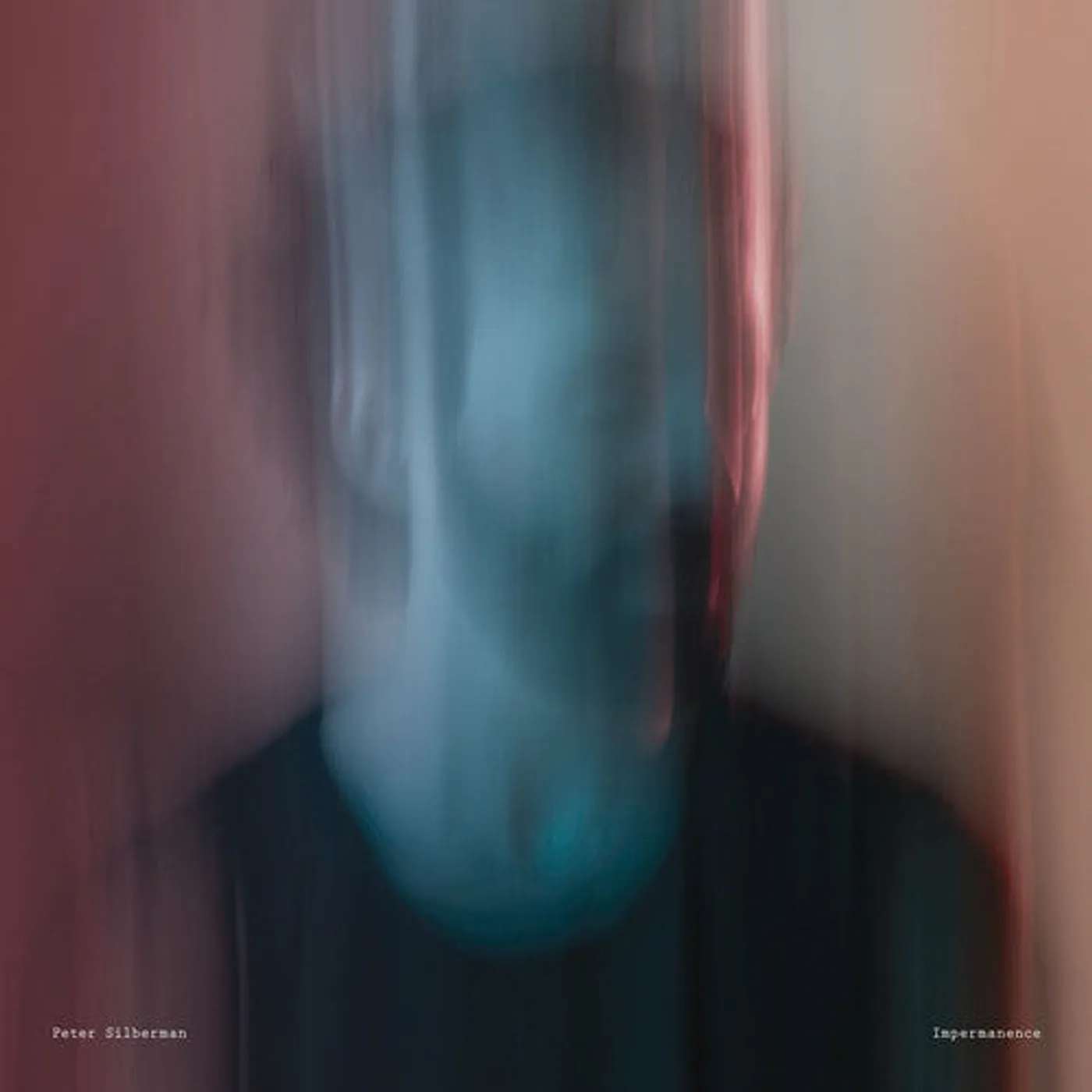 Peter Silberman LP Vinyl - Impermanence (Dlcd)