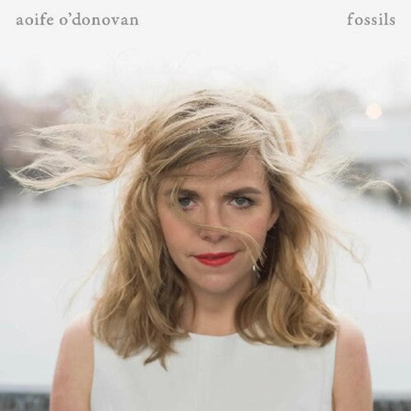 Aoife O'Donovan LP Vinyl - Fossils (Ogv)
