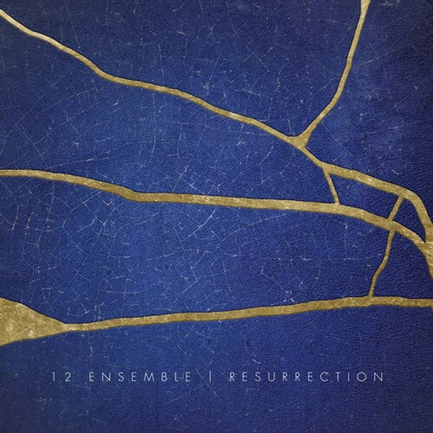 12 Ensemble LP Vinyl - Resurrection