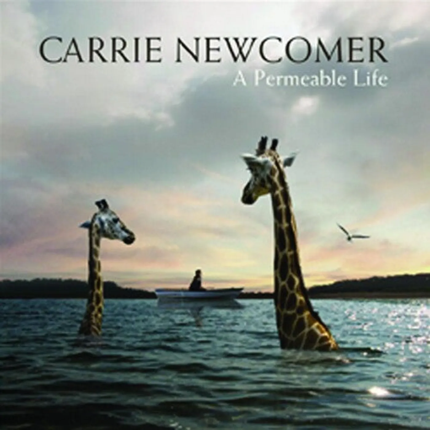 Carrie Newcomer LP Vinyl - Permeable Life
