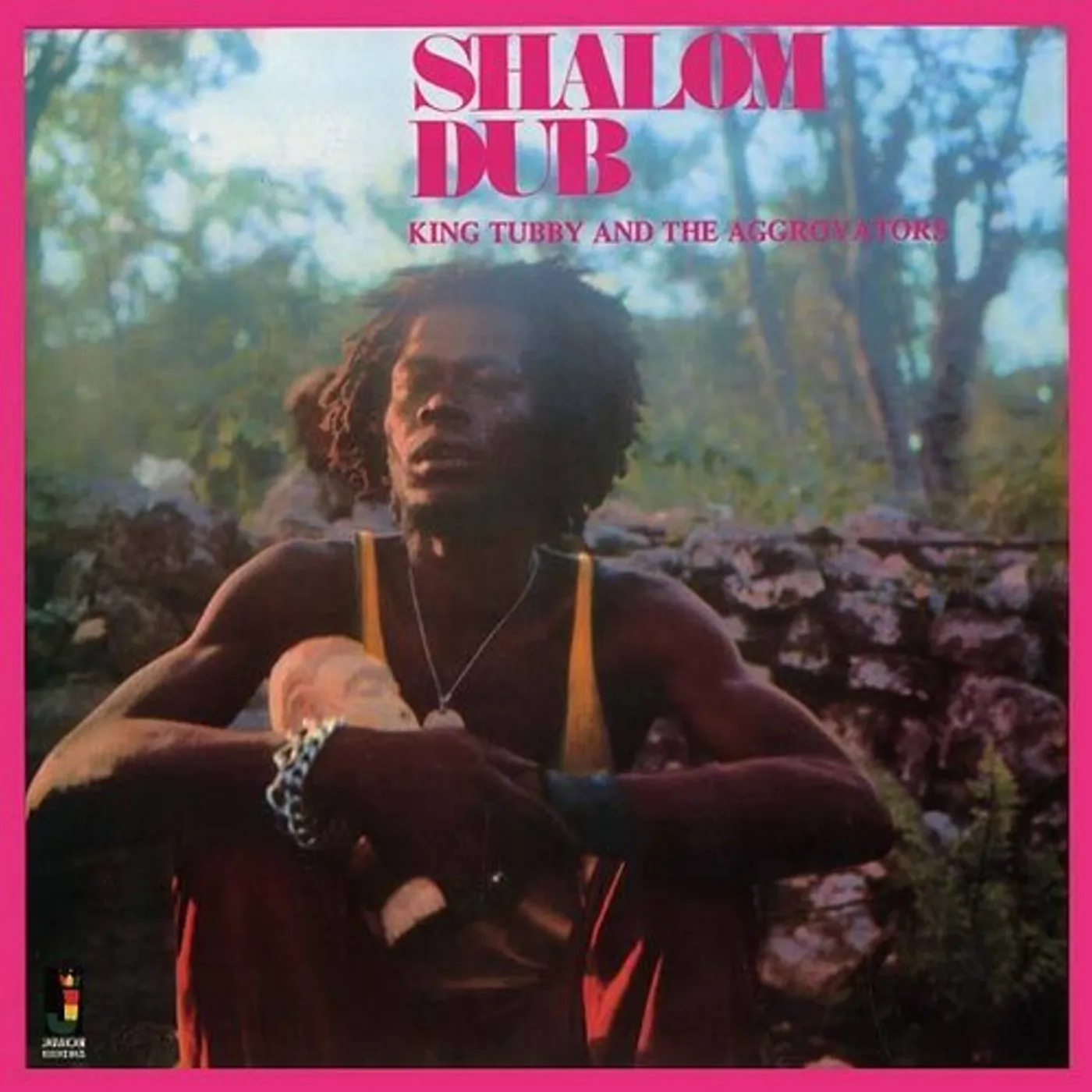 King Tubby & The Aggrovators LP Vinyl - Shalom Dub