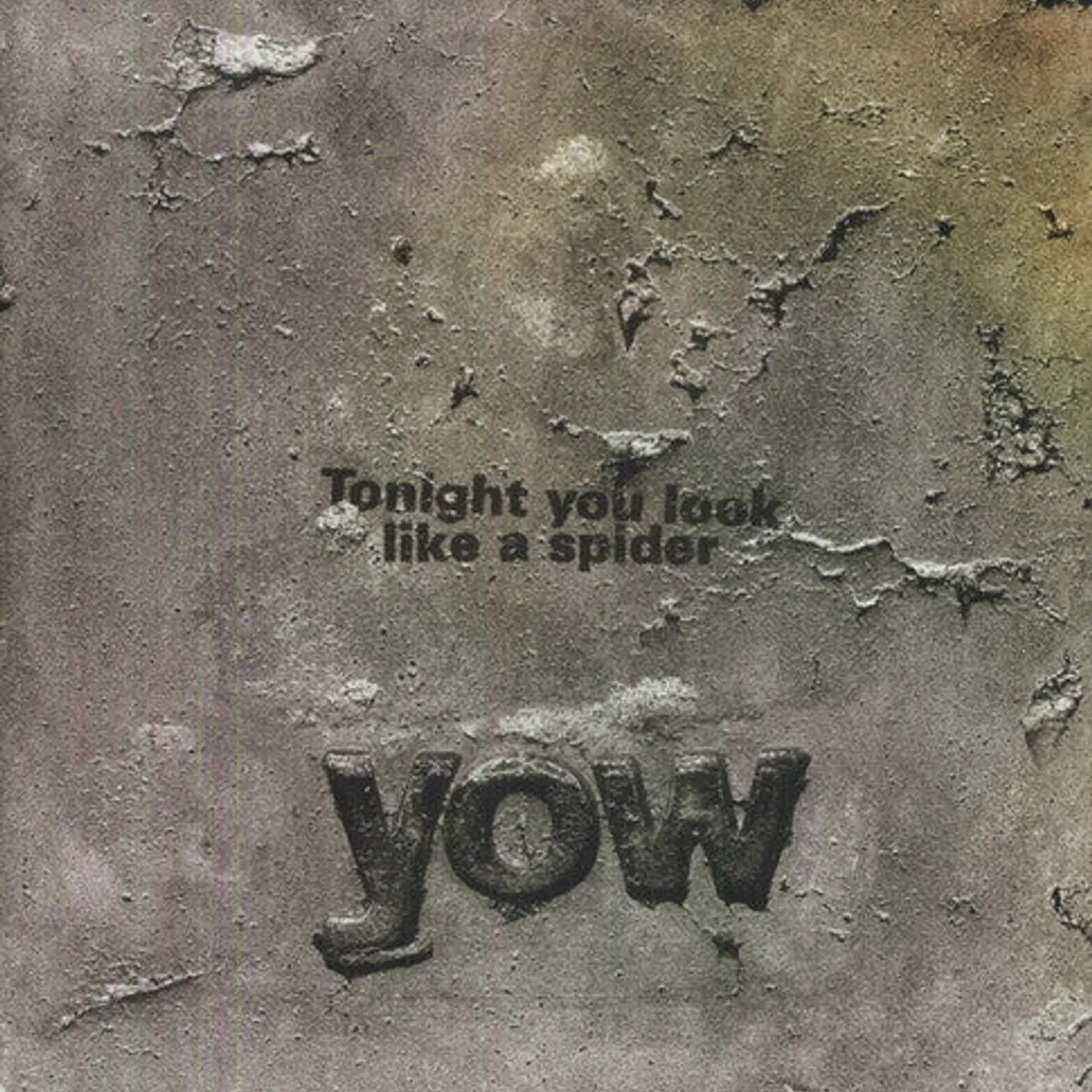 David Yow LP Vinyl - Tonight You Look Like A Spider