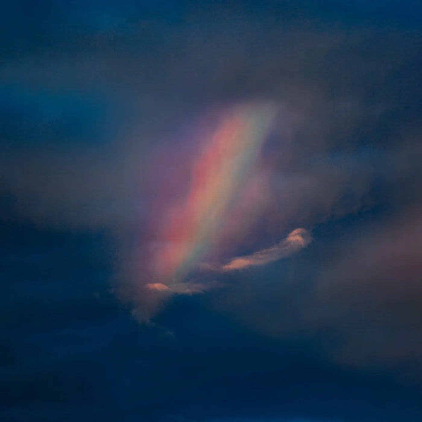 Pool Kids LP Vinyl - Pool Kids - Bone + Mustard (Coloured Vinyl) (Ltd)