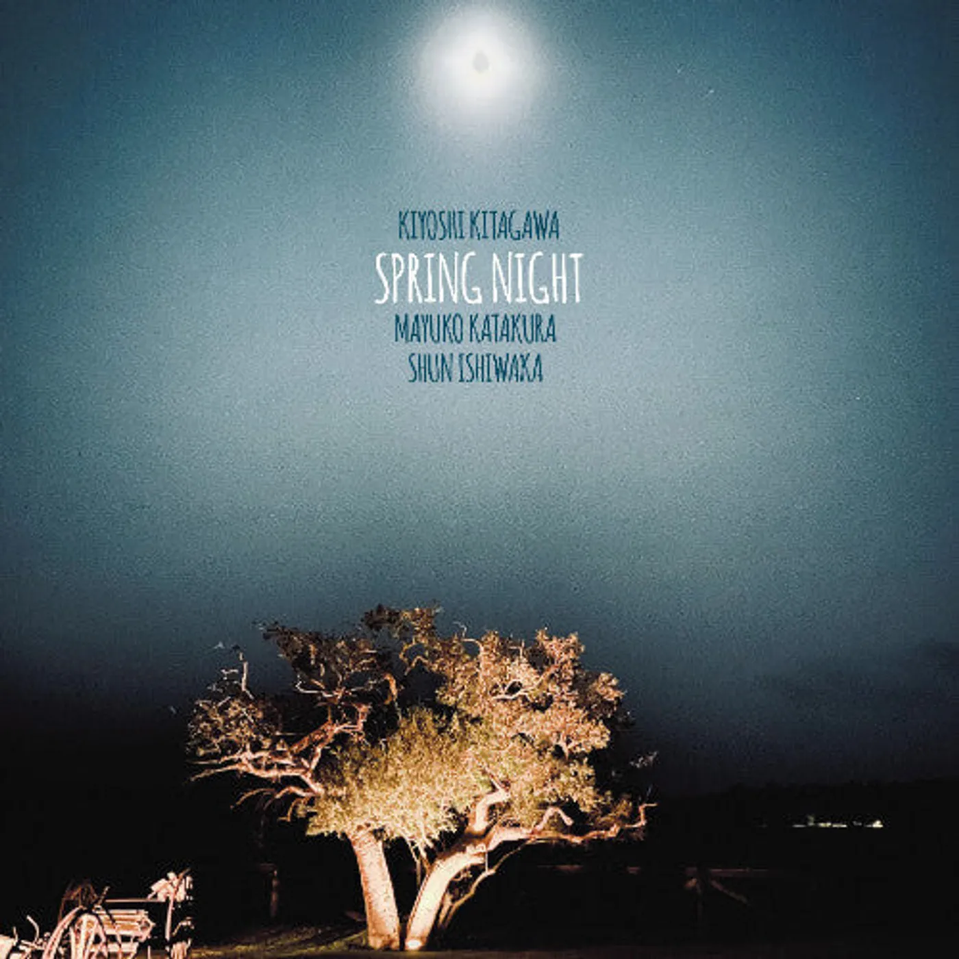 Kiyoshi Kitagawa LP Vinyl - Spring Night