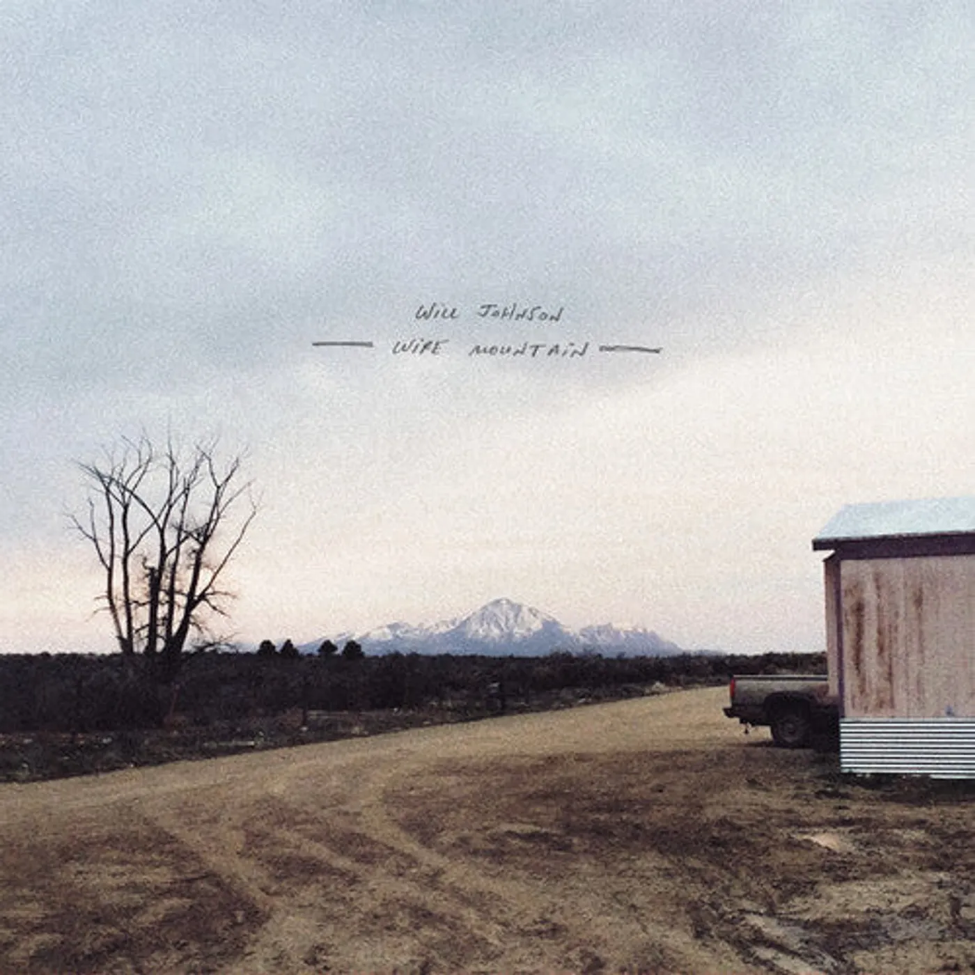 Will Johnson LP Vinyl - Wire Mountain