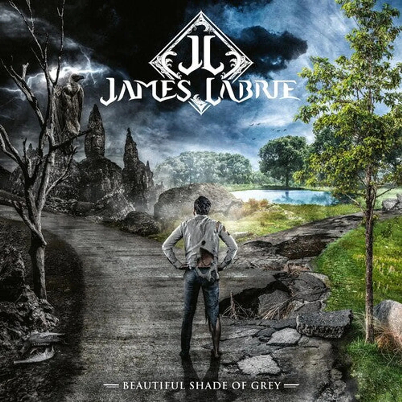 James Labrie LP Vinyl - Beautiful Shade Of Grey (W/Cd)