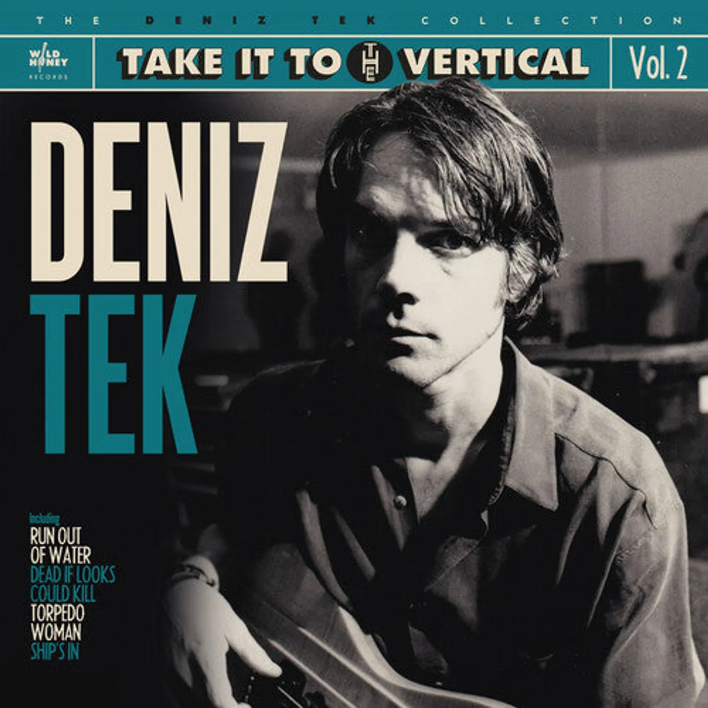 Deniz Tek LP Vinyl - Take It To The Vertical