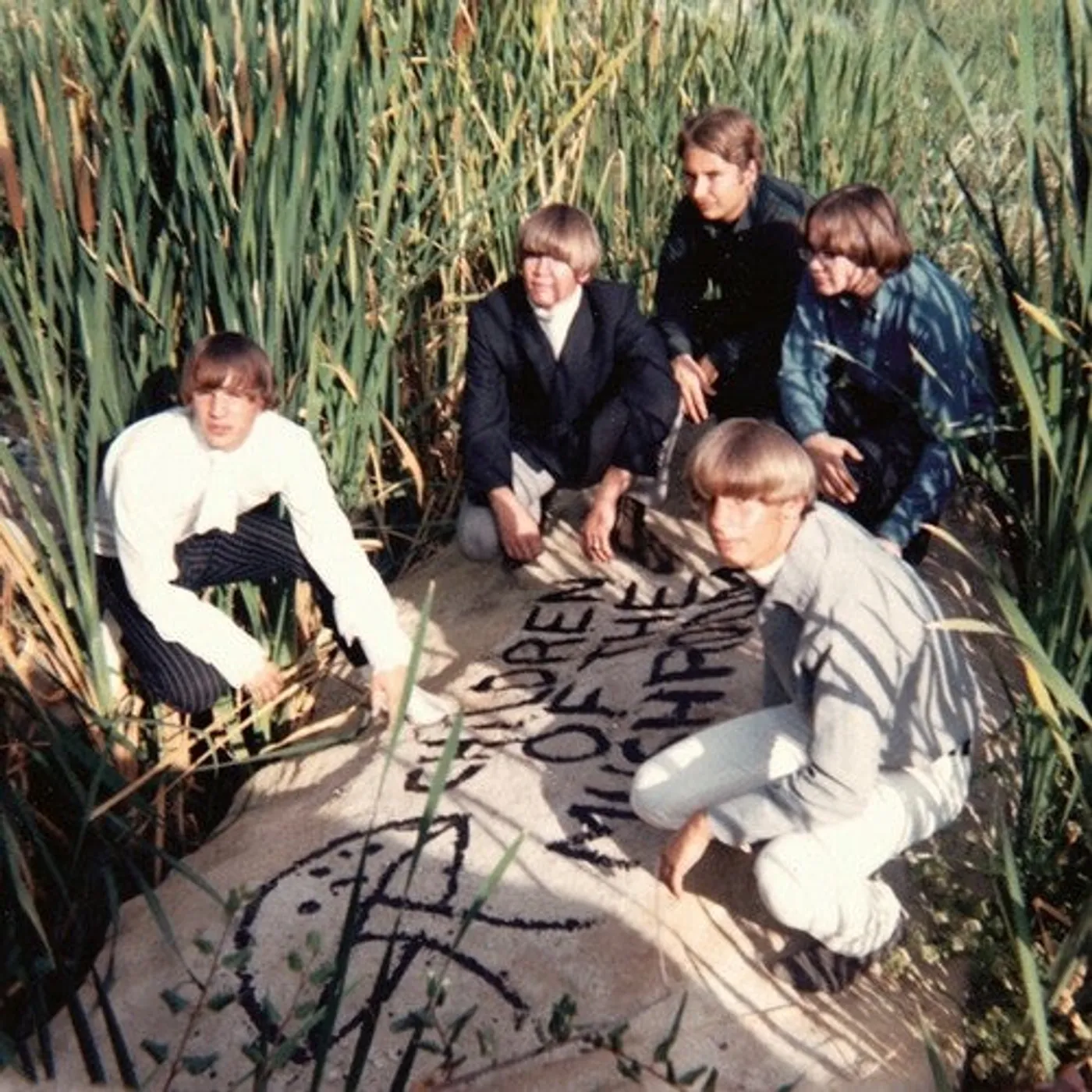 Children Of The Mushroom LP Vinyl - Children Of The Mushroom