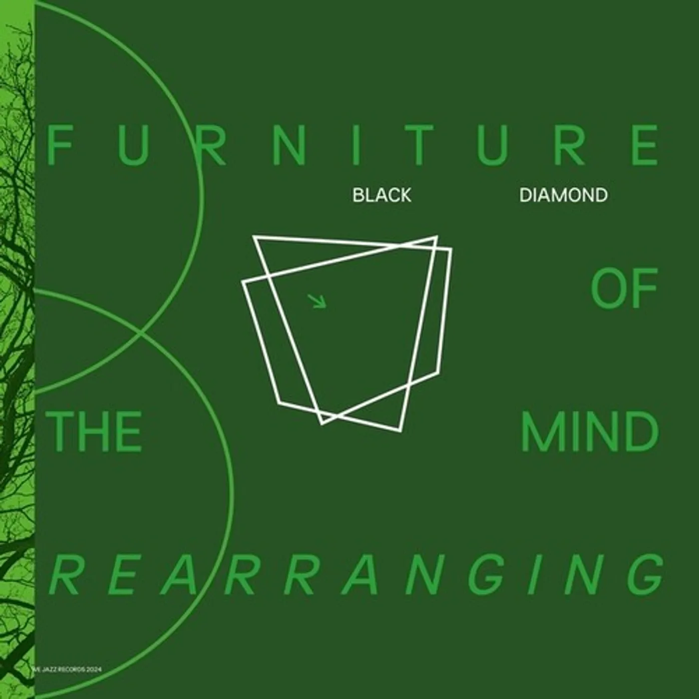 Diamond Black LP Vinyl - Furniture Of Mind Rearranging