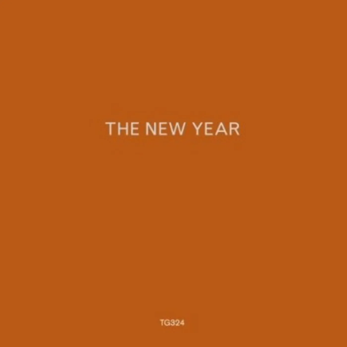 The New Year LP Vinyl - New Year