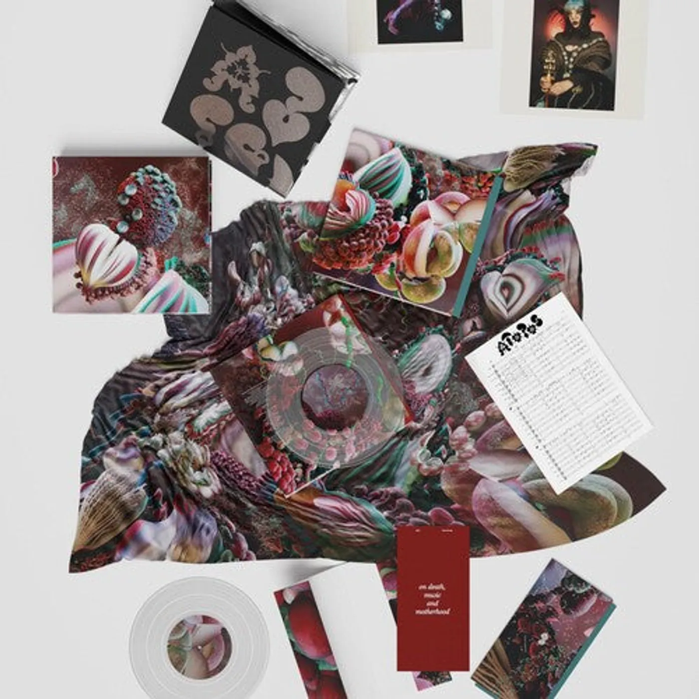 Björk LP Vinyl - Fossora (10In) (Box) (Cvnl) (Post) (Scrf) (Wb)