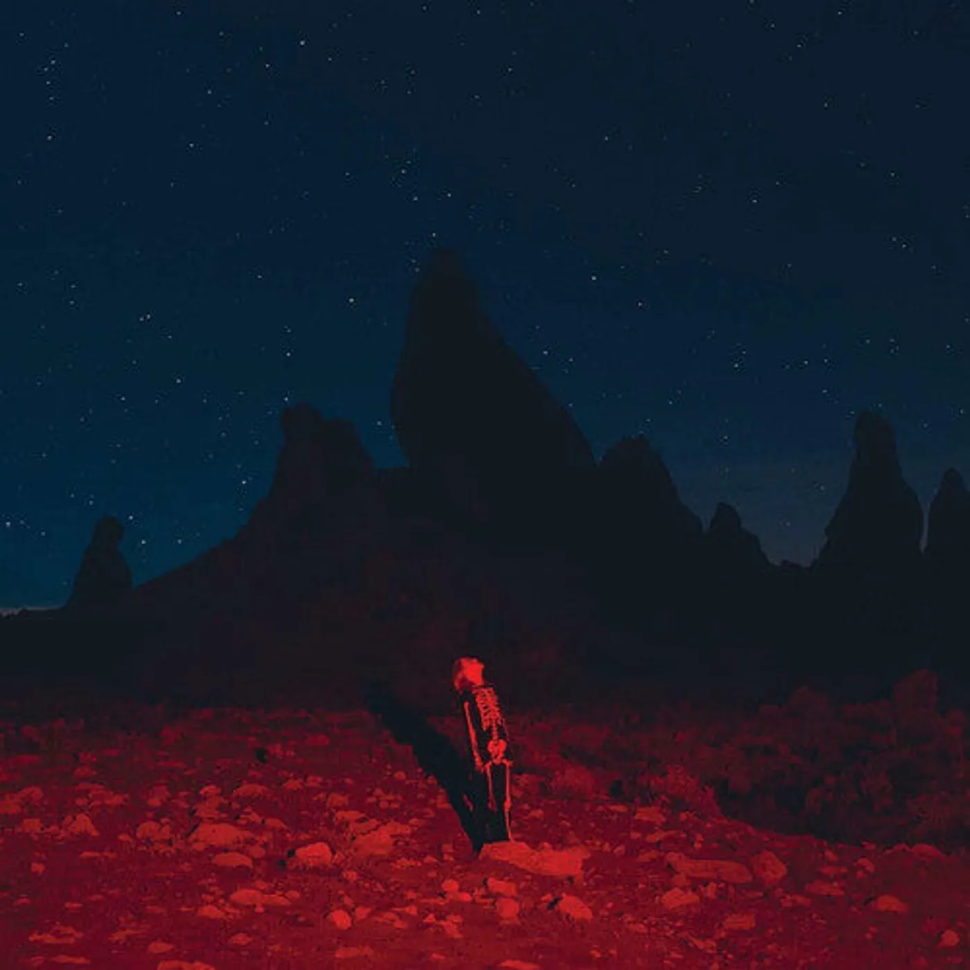 Phoebe Bridgers LP Vinyl - Punisher