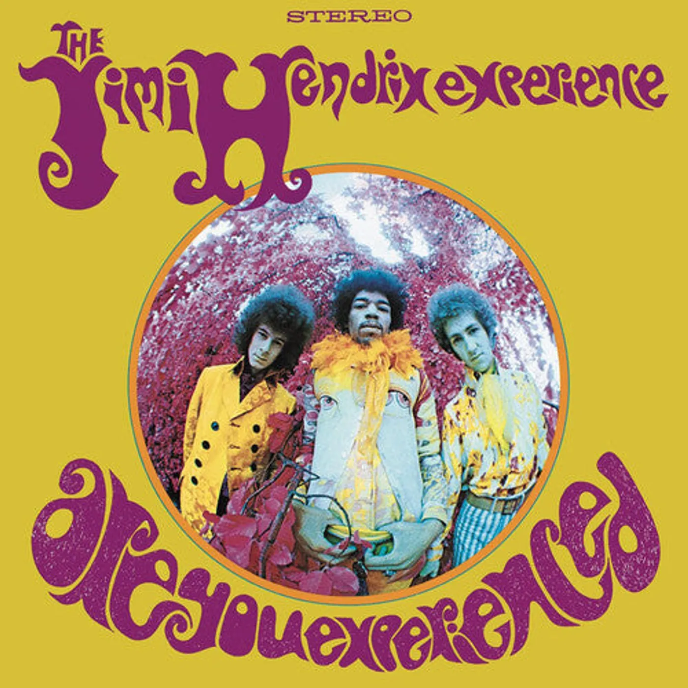 Jimi Hendrix LP Vinyl - Are You Experienced