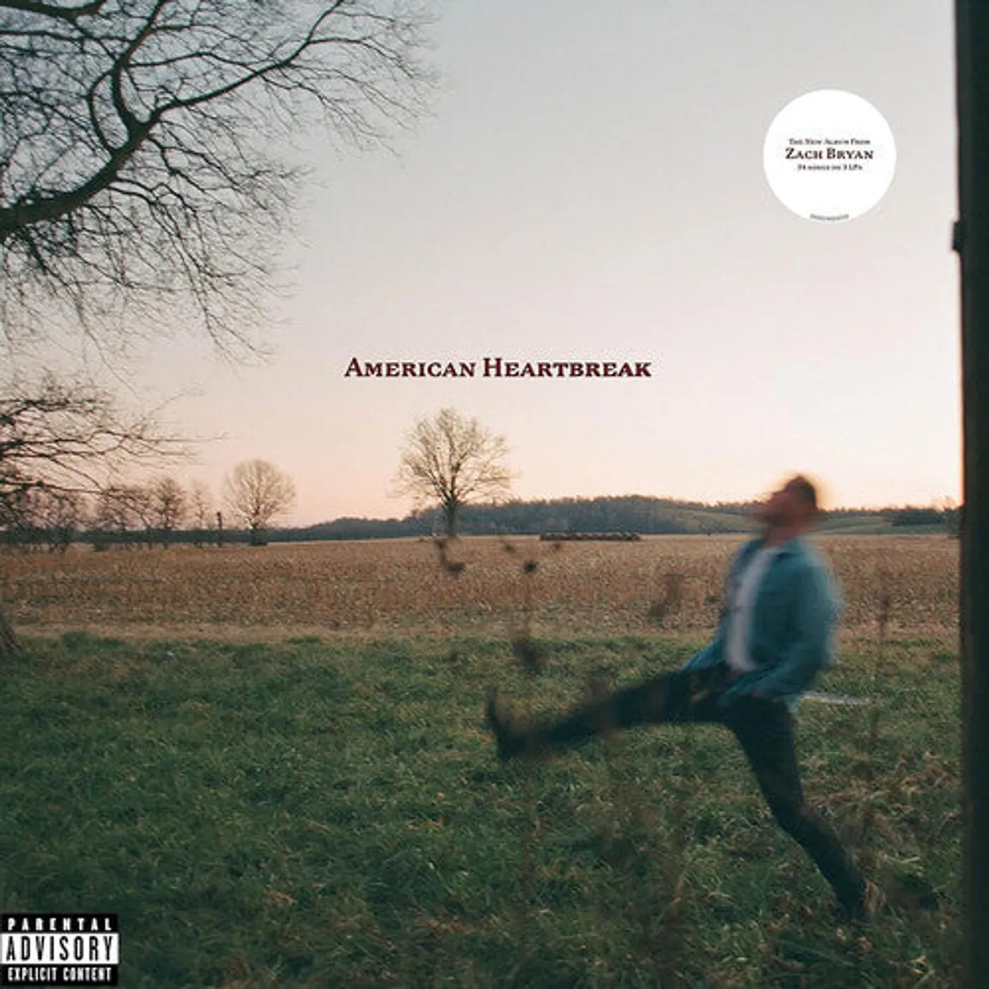 Zach Bryan LP Vinyl - American Heartbreak