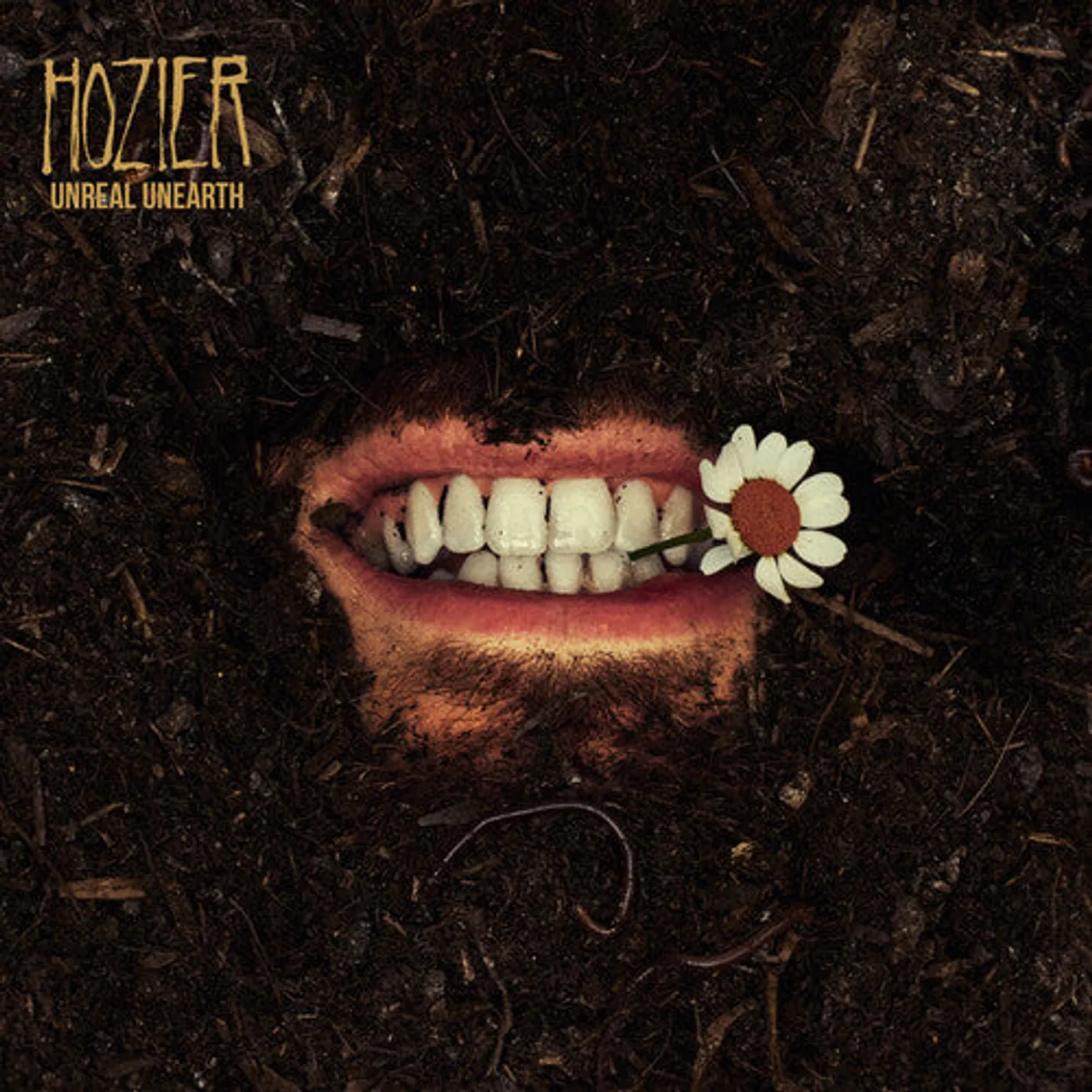 Hozier LP Vinyl - Unreal Unearth (Gate Fold) (Post)