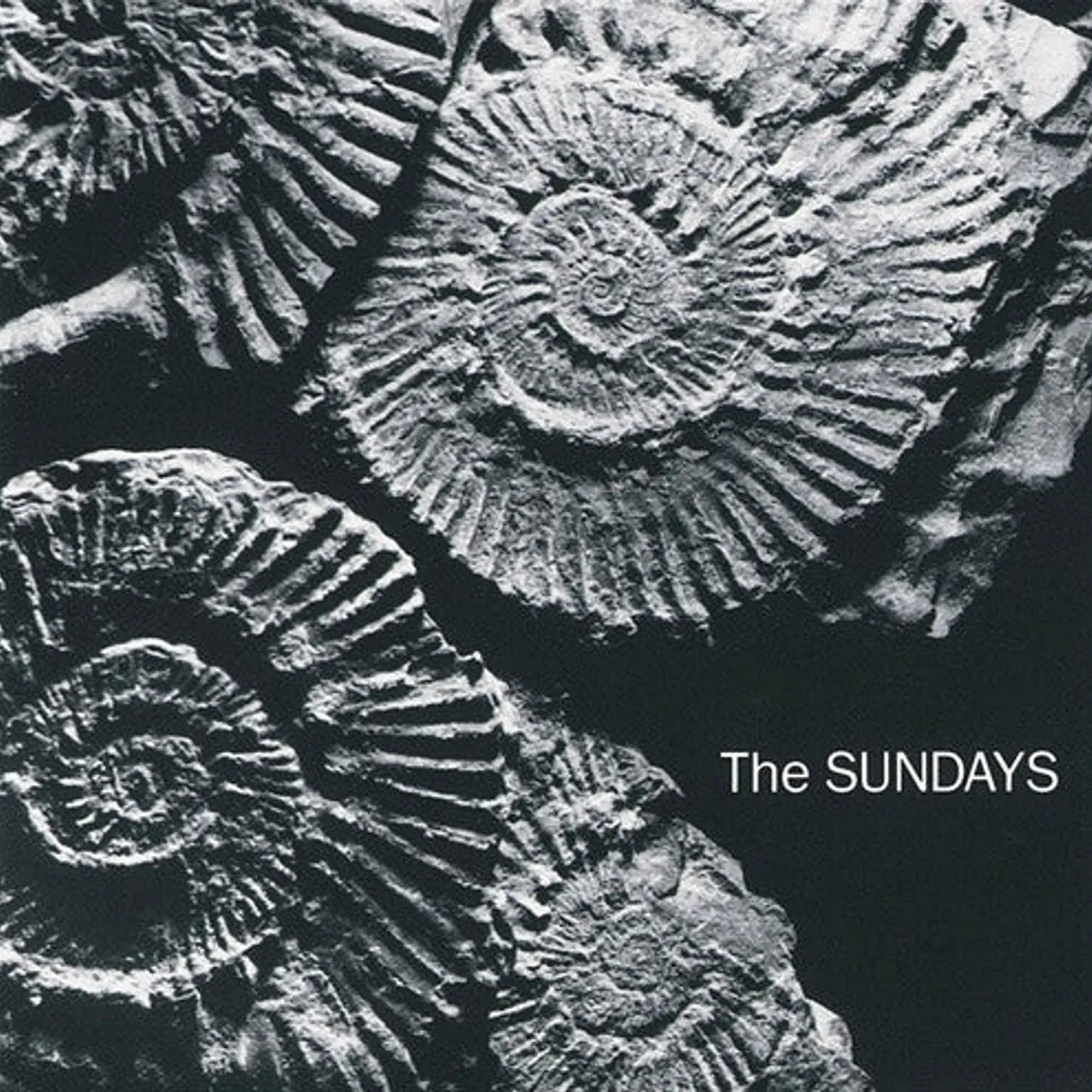 Sundays LP Vinyl - Reading, Writing, And Arithmetic (Colv) (Slv)