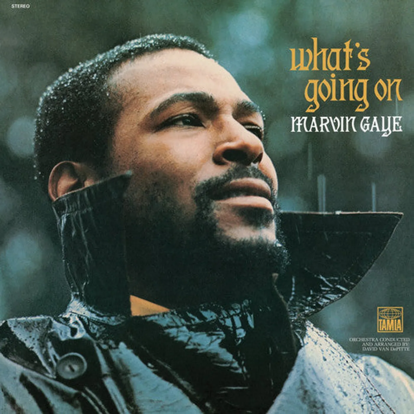 Marvin Gaye LP Vinyl - What'S Going On (Ogv) (Reis)