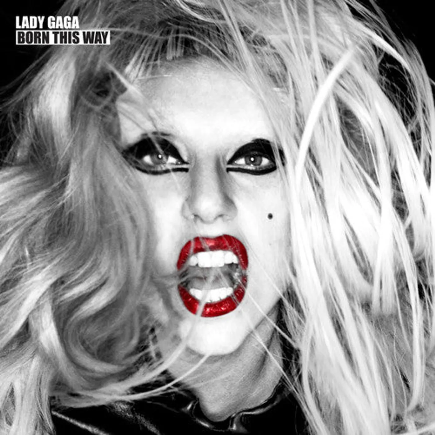 Lady Gaga LP Vinyl - Born This Way