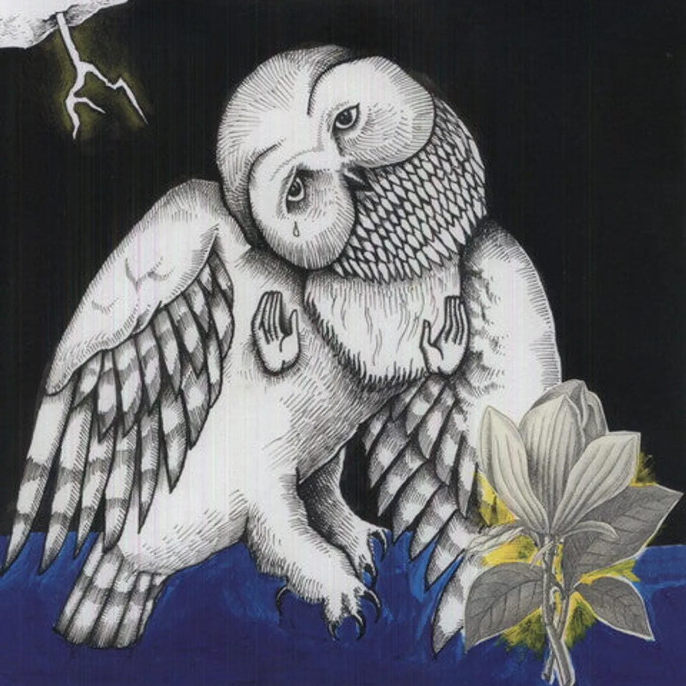 Songs: Ohia LP Vinyl - Magnolia Electric Company Co (Dlx) (Reis)