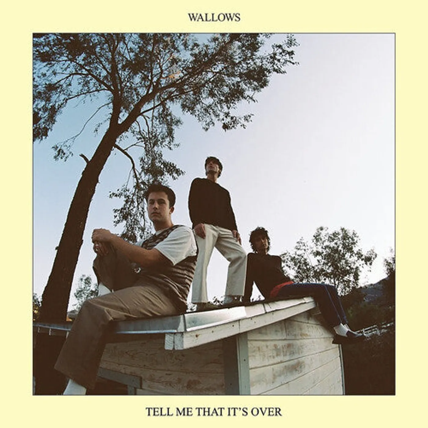 Wallows LP Vinyl - Tell Me That It'S Over
