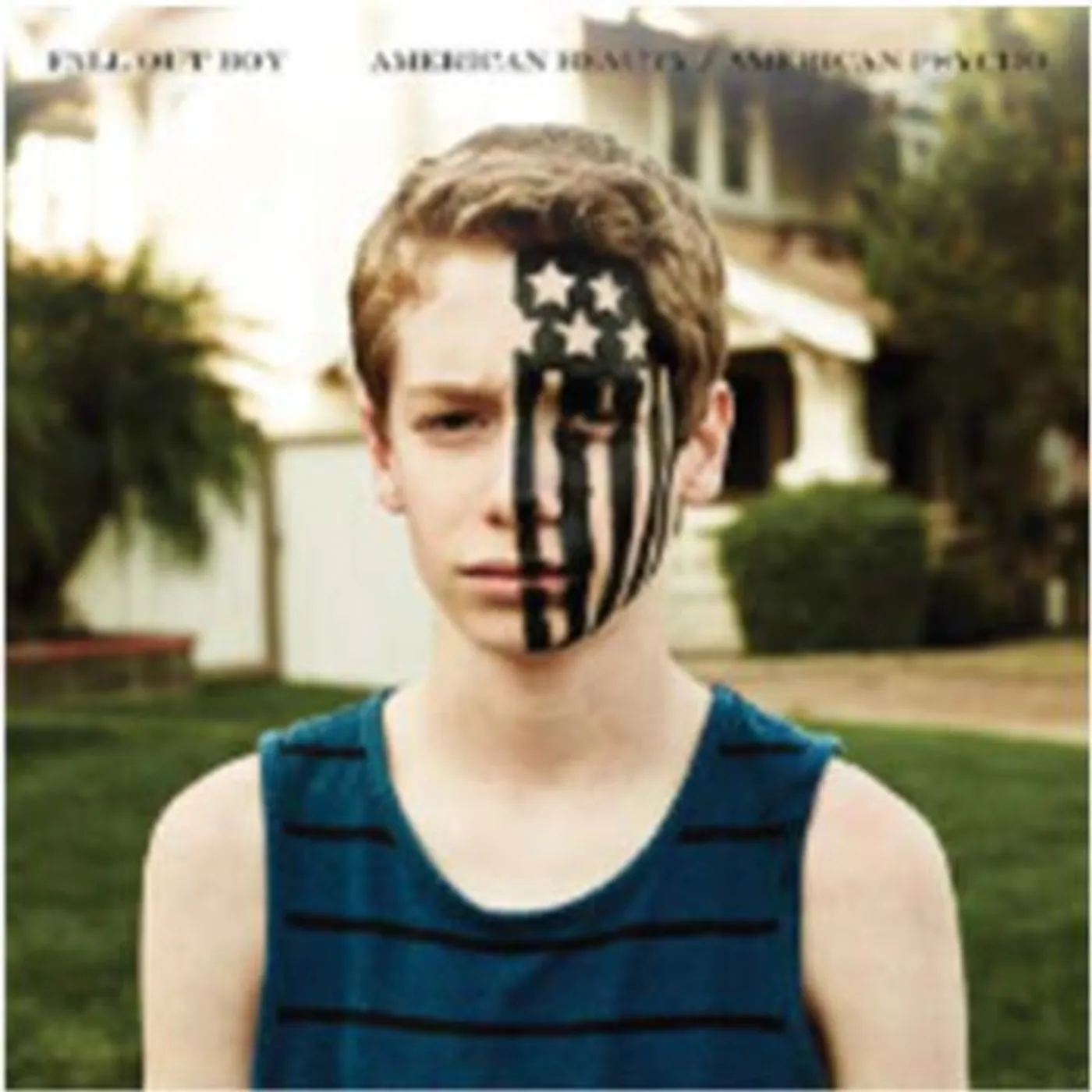 Fall Out Boy LP Vinyl - American Beauty / American Psycho