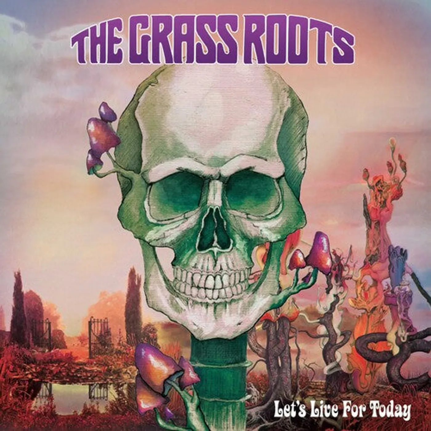 The Grass Roots LP Vinyl - Let'S Live For Today - Purple Haze (Colv) (Purp)