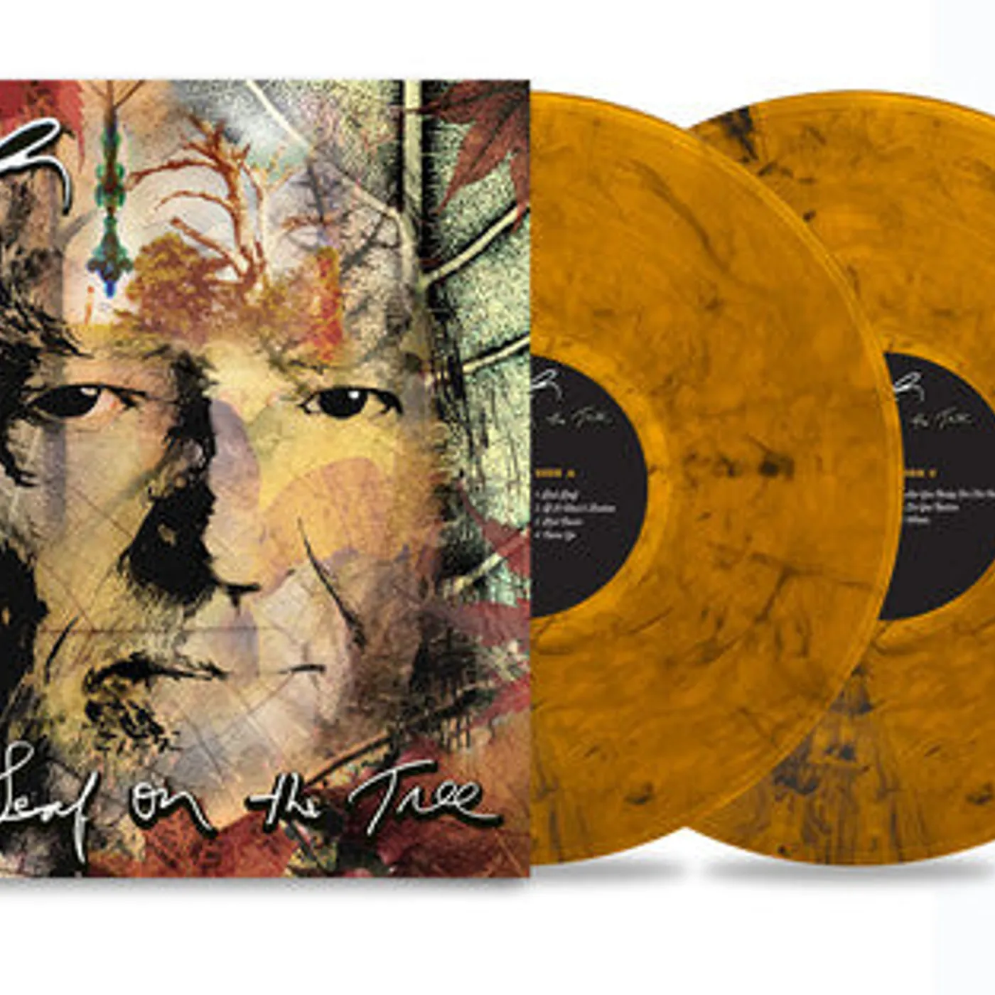 Willie Nelson LP Vinyl - Last Leaf On The Tree